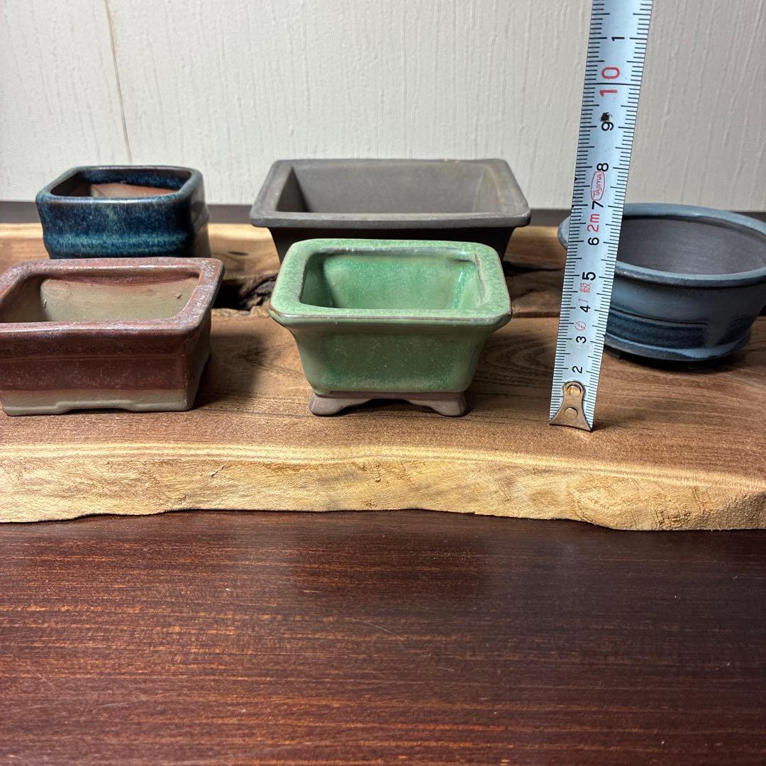 【名品】　小品盆栽鉢　山野草鉢　陶酔3点 参樹陶園1点 他1点　　5点セット