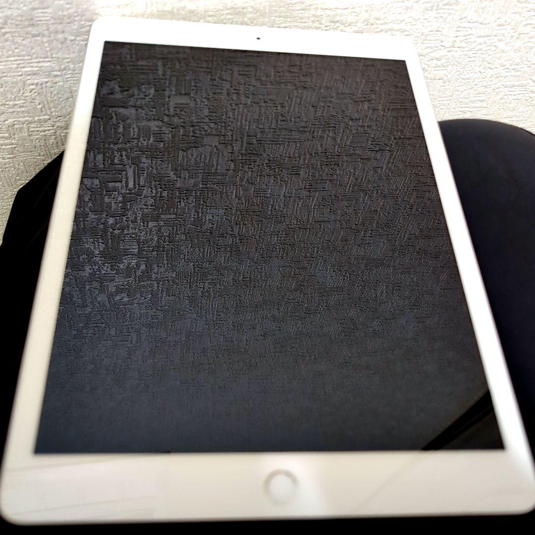 Apple iPad 本体 シルバー A2429