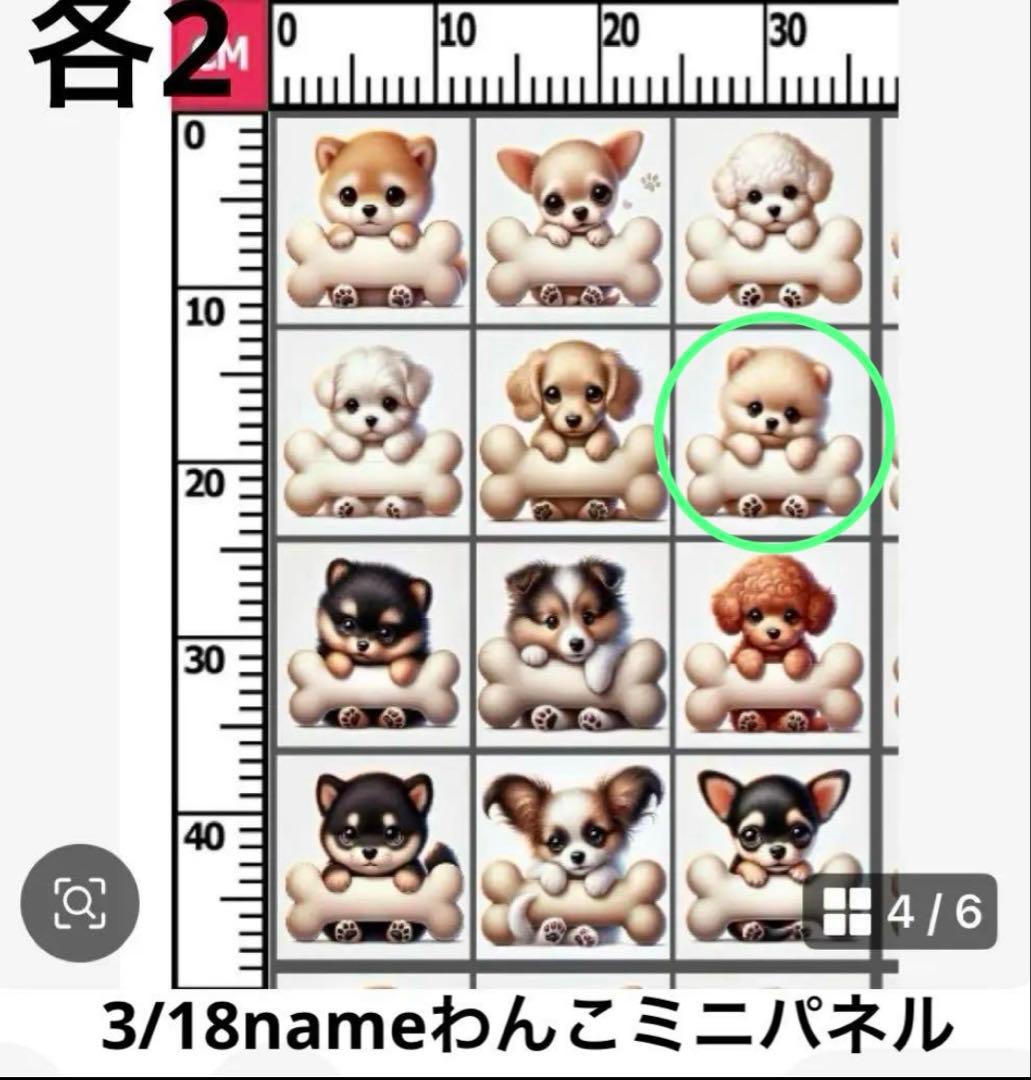 きゃんべる様