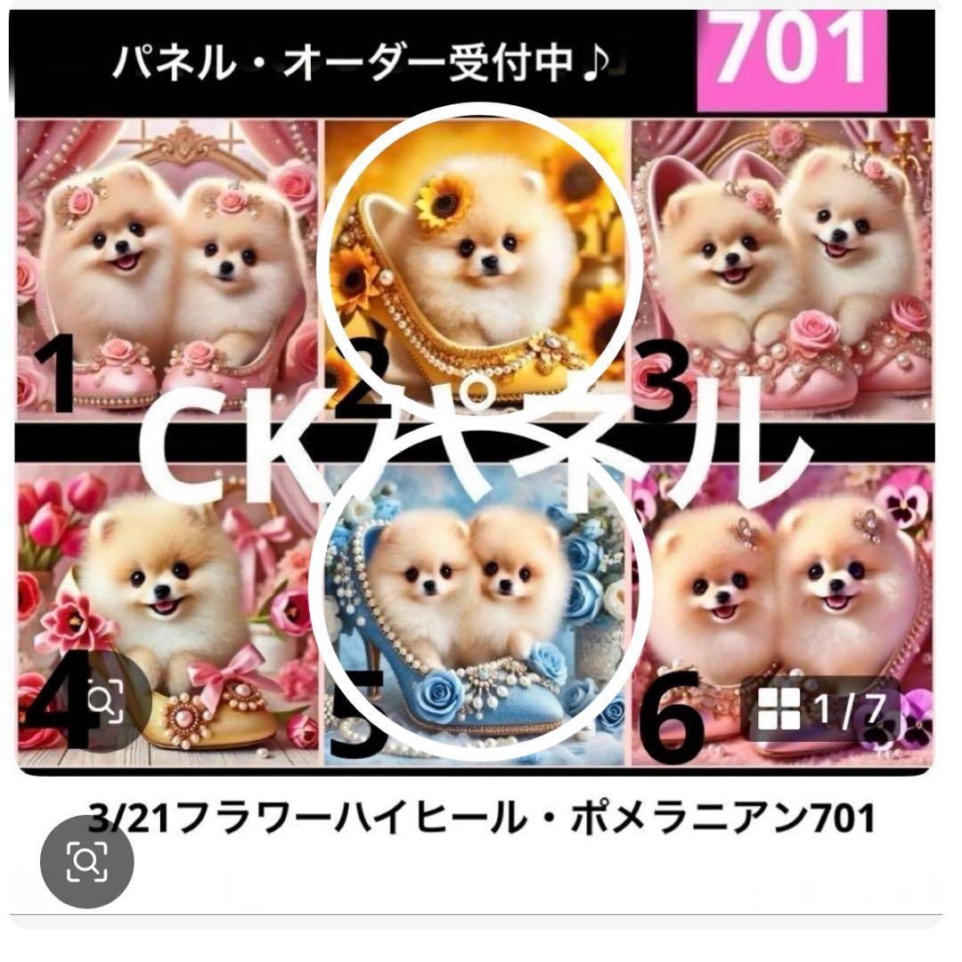 きゃんべる様