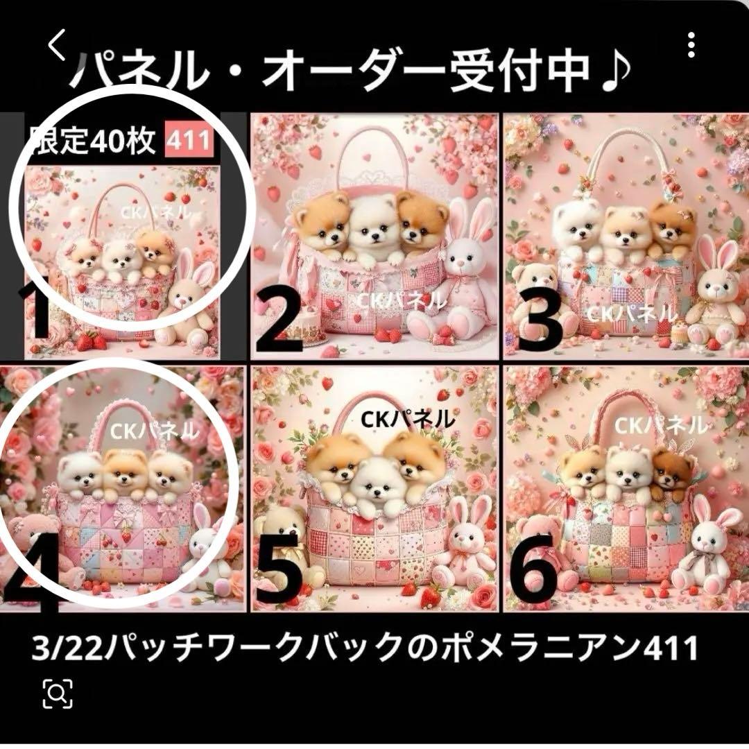 きゃんべる様