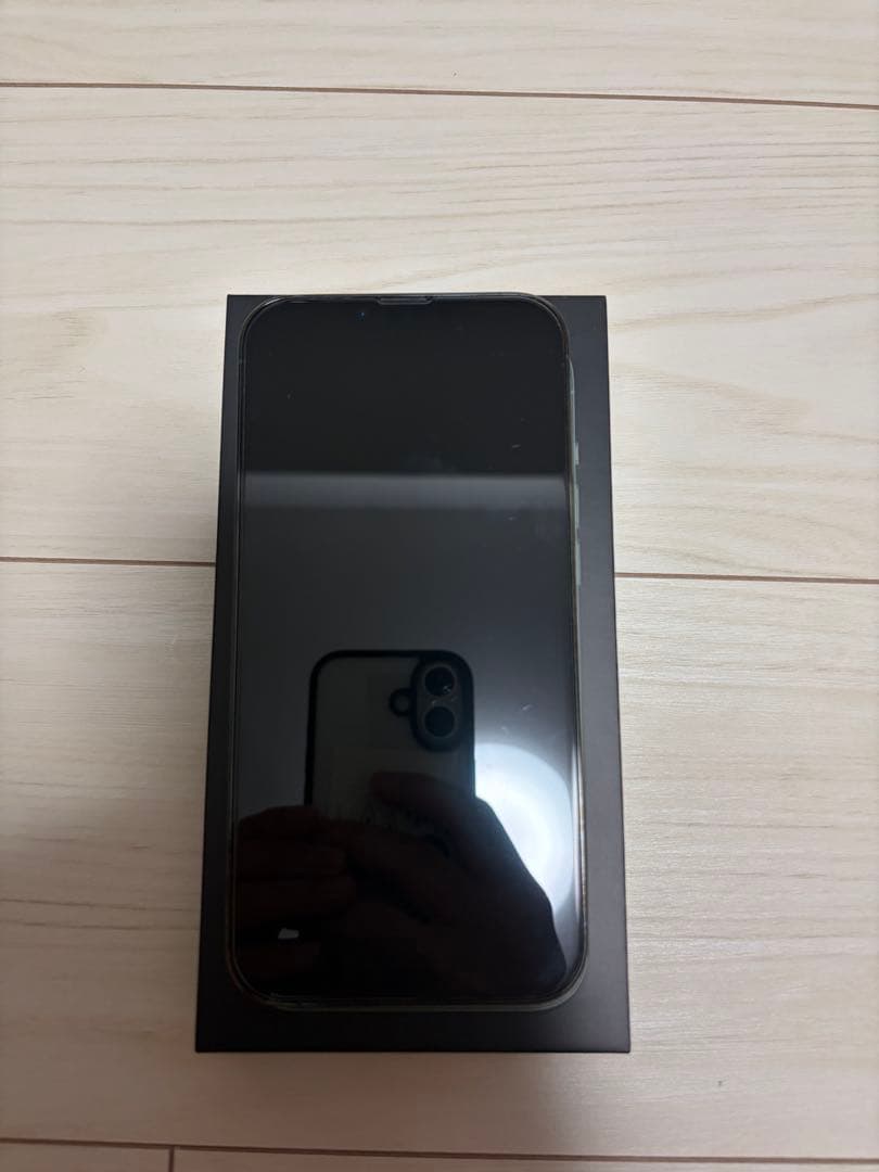 【美品】Apple iPhone13ProMax Alpine Green