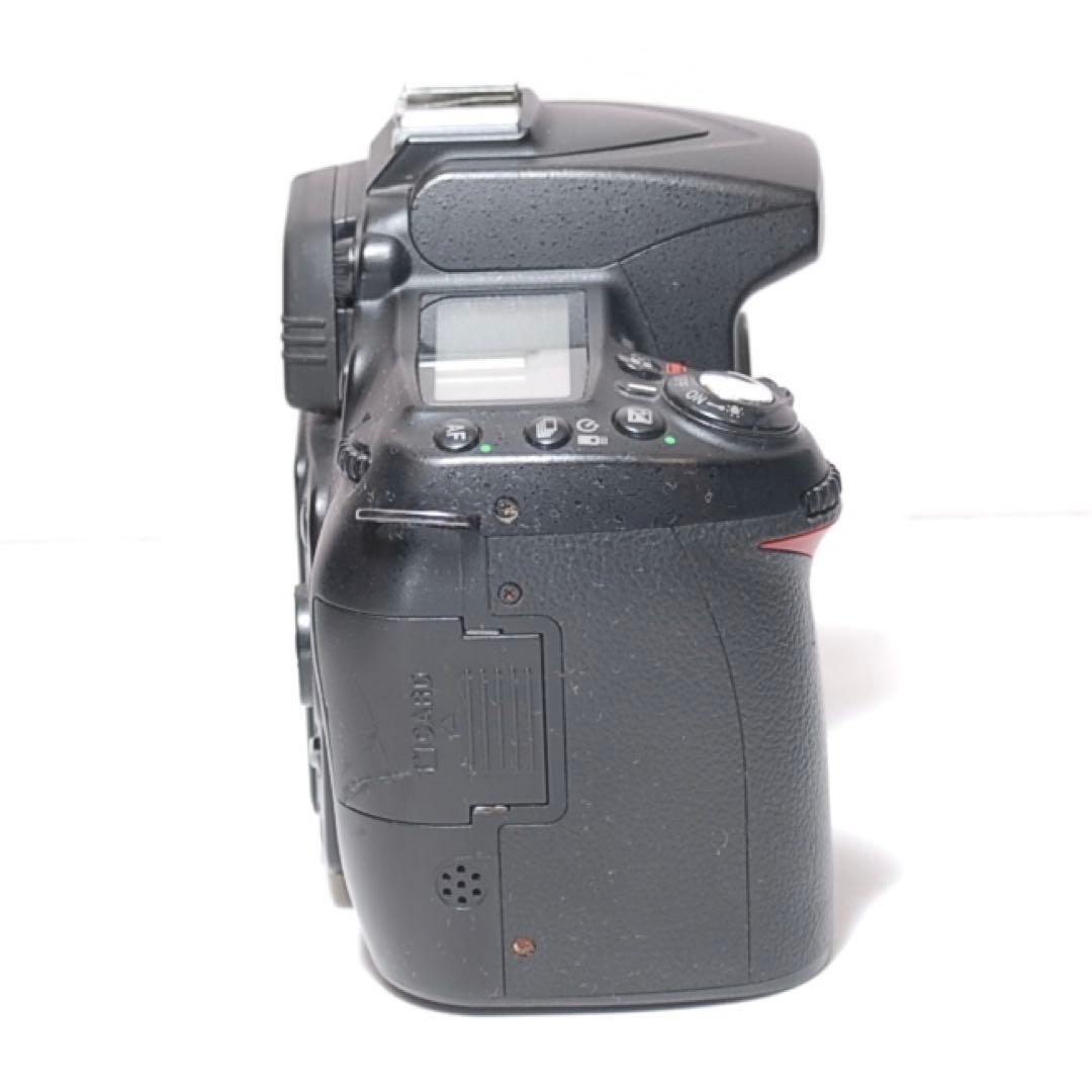 超望遠レンズデビューに✨Nikon D90✨シングルレンズセット✨初心者様向け