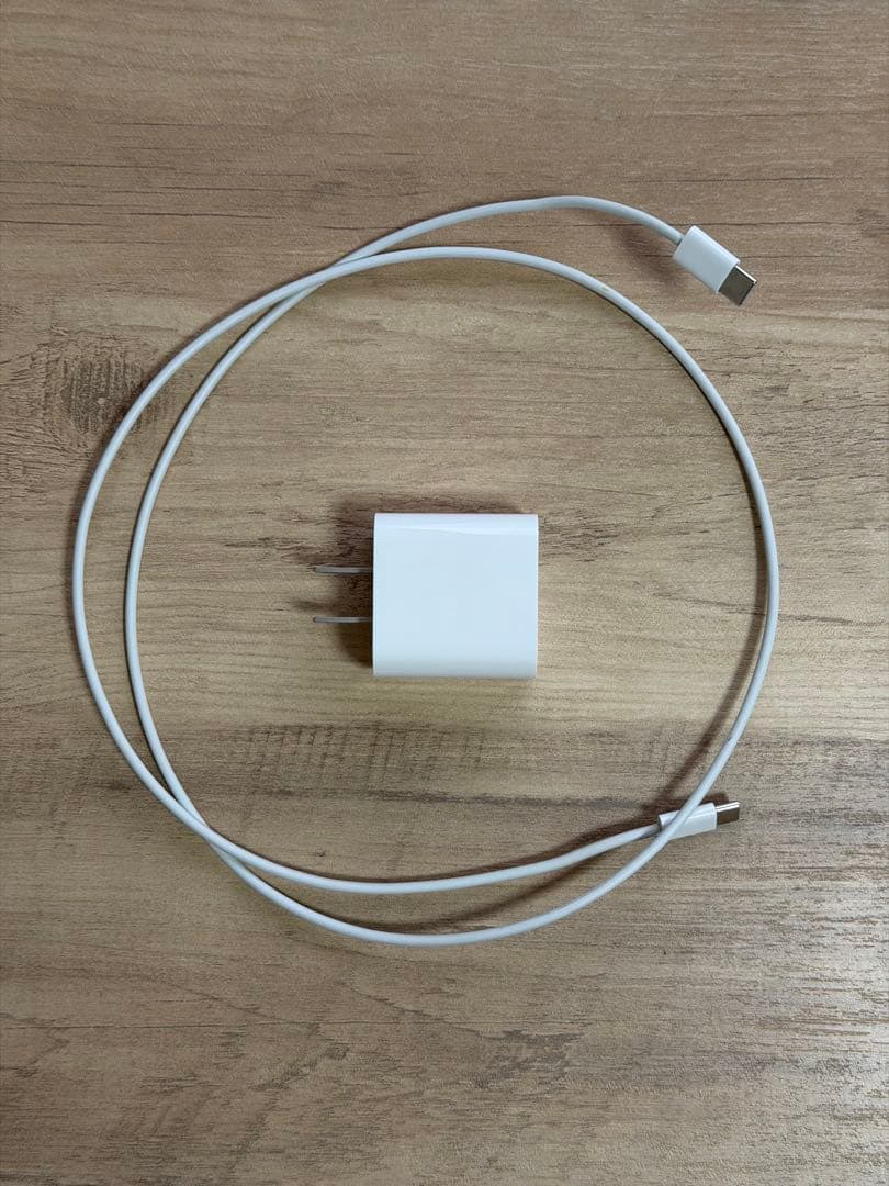 【訳あり】iPad Pro（11インチ）64GB + Apple Pencil