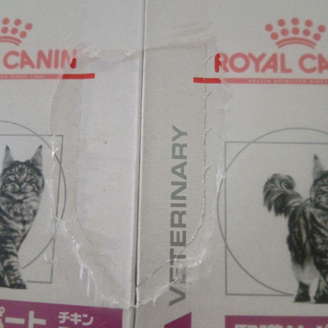  CANIN 腎臓サポートチキンテイスト 85g x 12　2箱