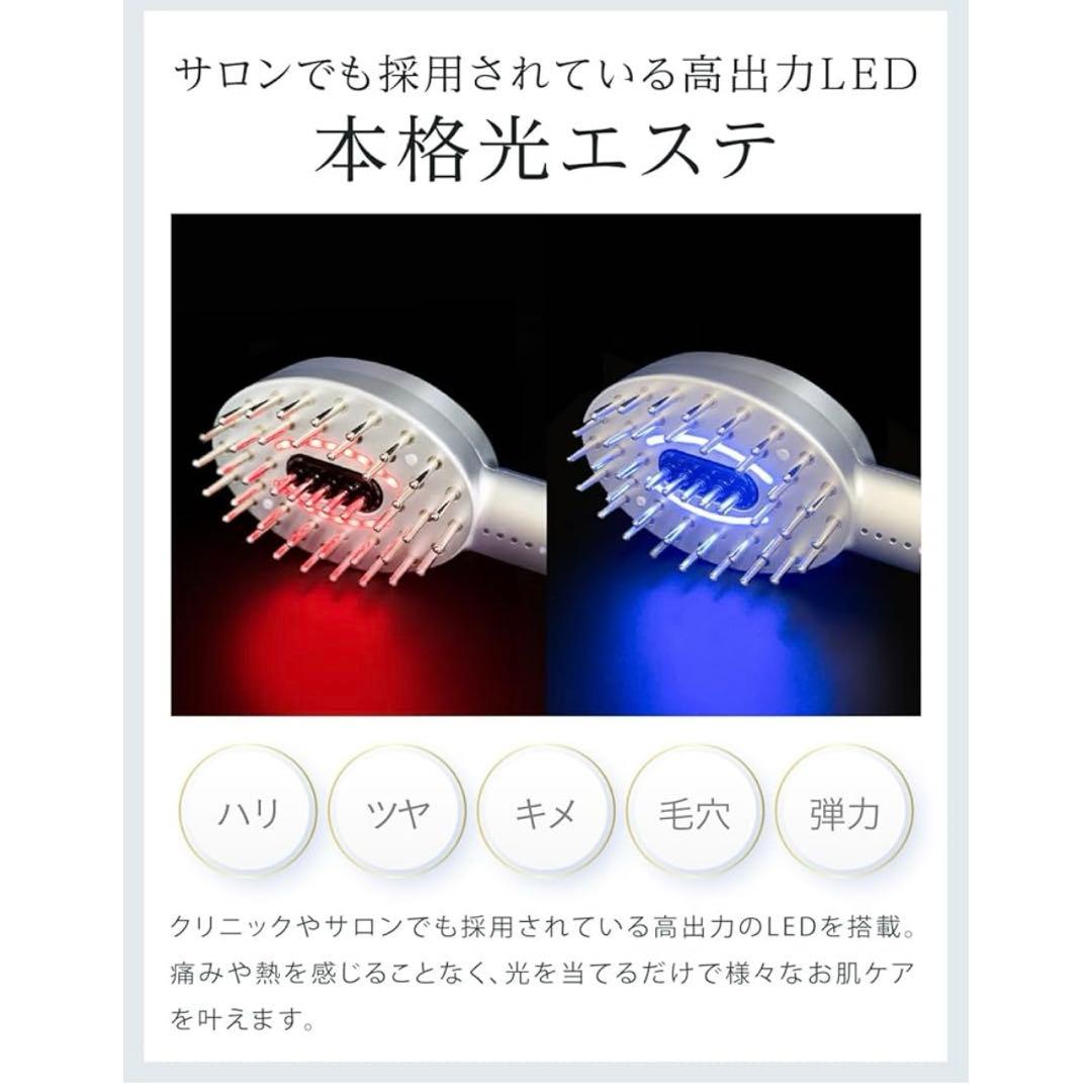 NIPLUX EMS LIFT BRUSH 電気ブラシ　リフトアップ ・ブラシ