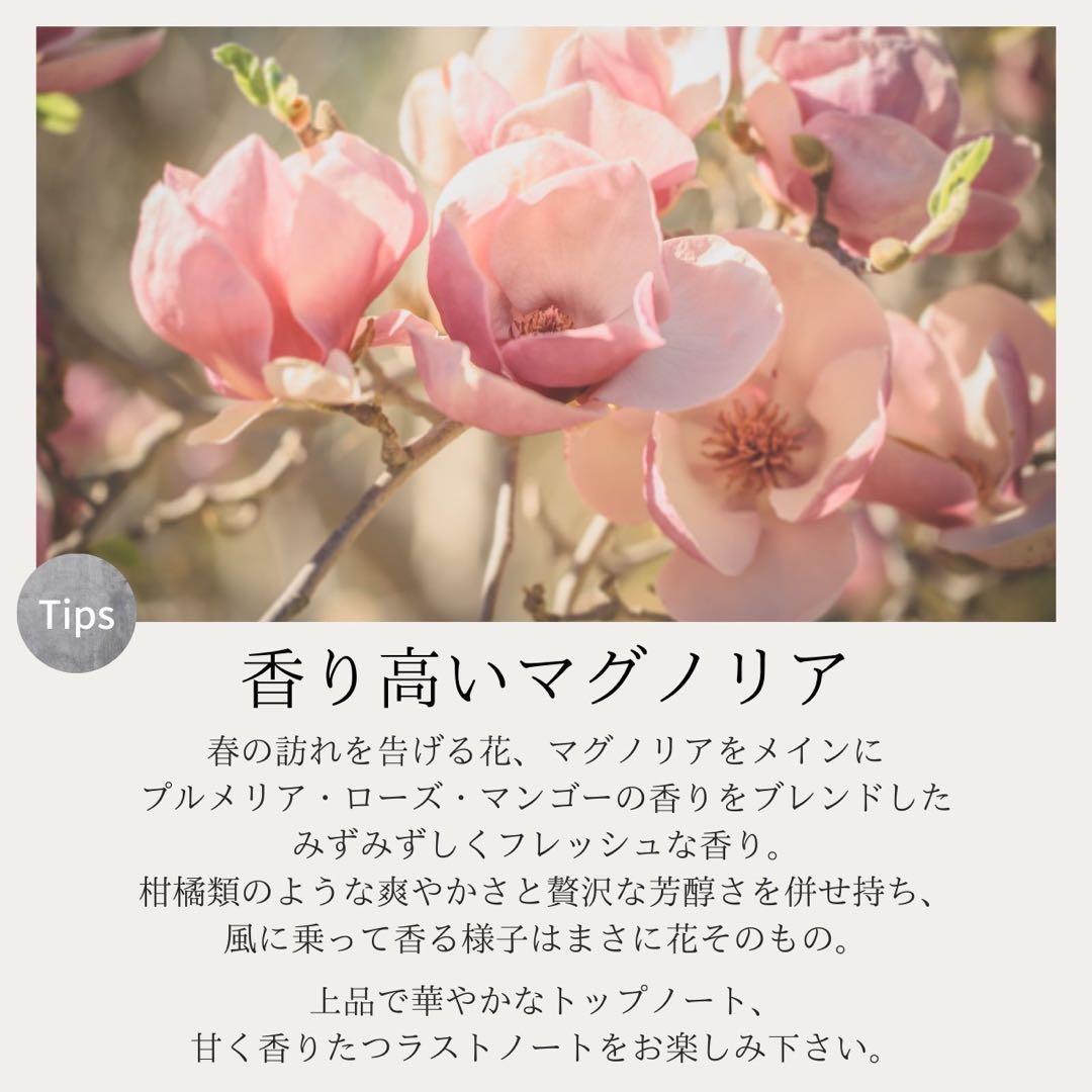 6本セット！お得セット L/（エルスラッシュ）トリートメント　480g■