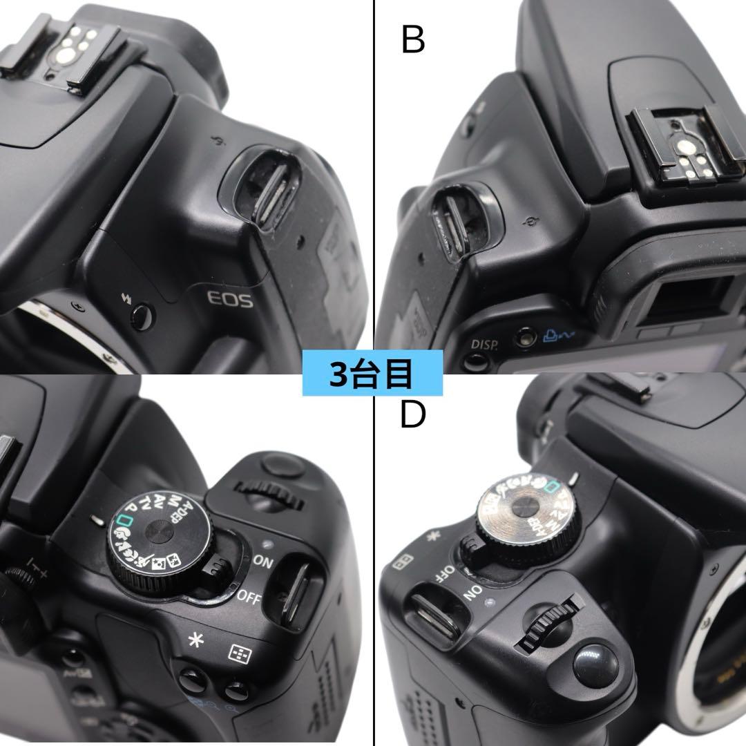 【Canon EOS Kiss Digital X ダブルレンズセット】
