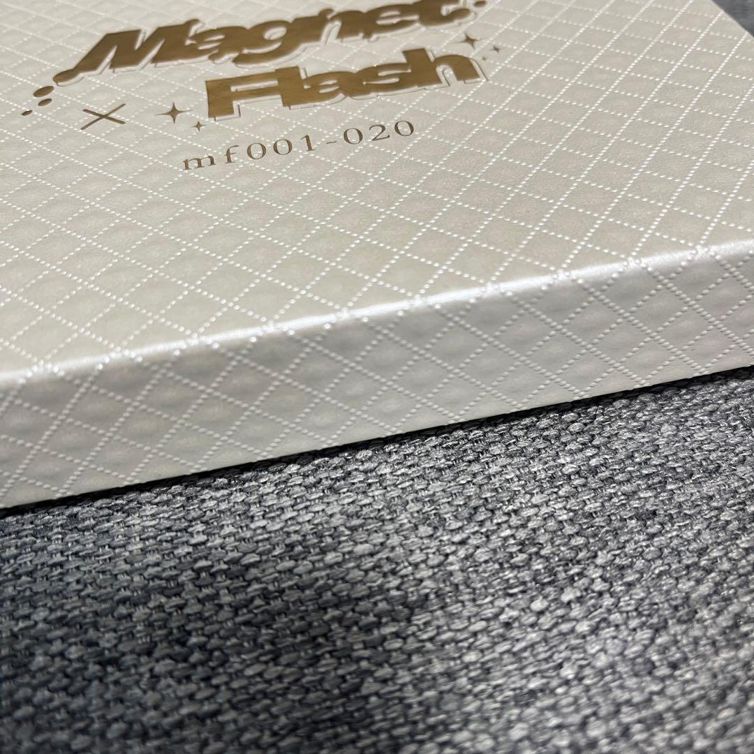 【新品未使用】enoi マグネットフラッシュ　マグフラ　20色セット