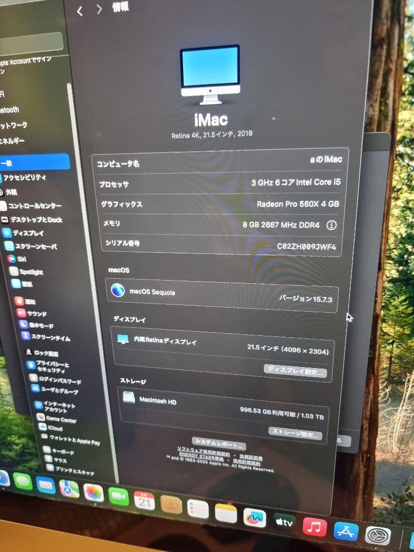 iMac 21.5 4K Core i5 / 8GB / 1TB 2019　本体