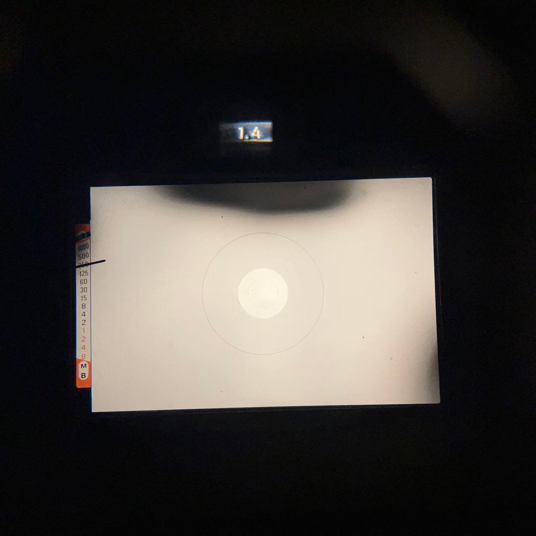 整備済 作動完璧確認済 Nikon FE フィルムカメラ 作例あり