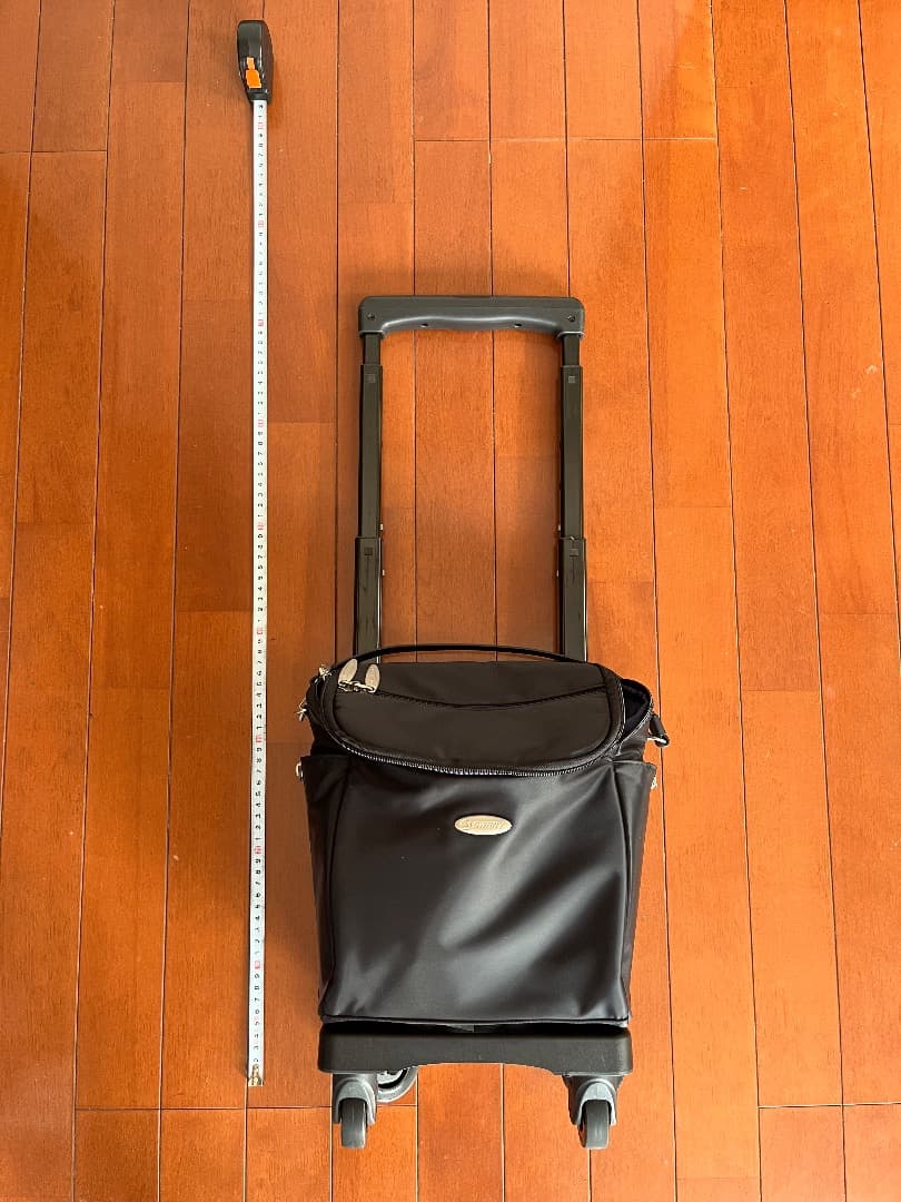 SWANY　スワニー　ソフトキャリー　A4サイズ（美品）