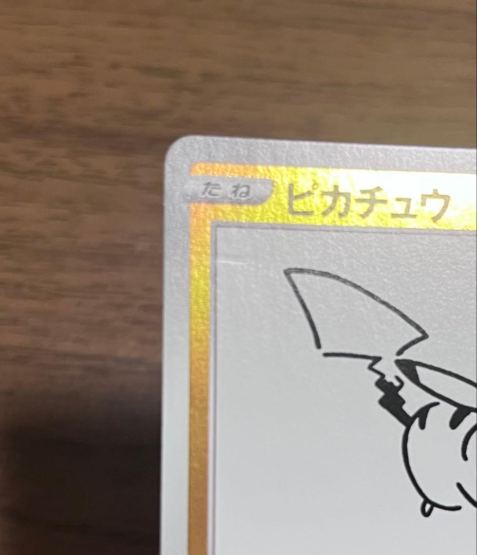 「専用ページ」ナガバ ピカチュウ ブラッキー：YU NAGABA 　2枚セット