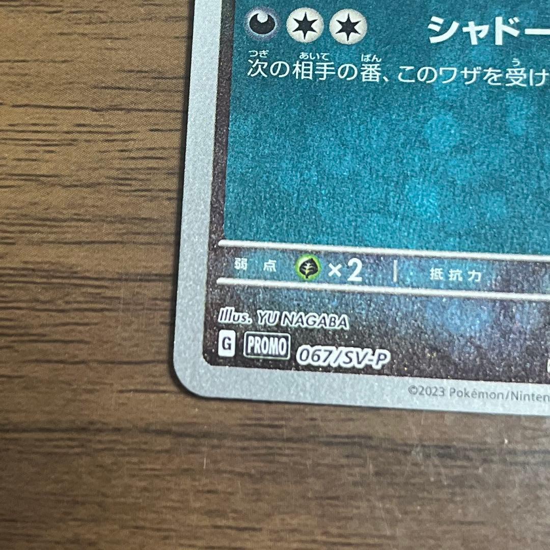 「専用ページ」ナガバ ピカチュウ ブラッキー：YU NAGABA 　2枚セット