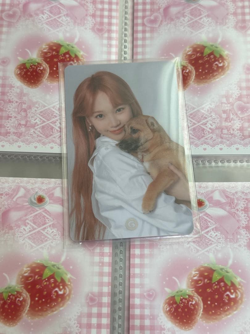 Le Sserafimチェウォン GMARKET Shop For Dogトレカ