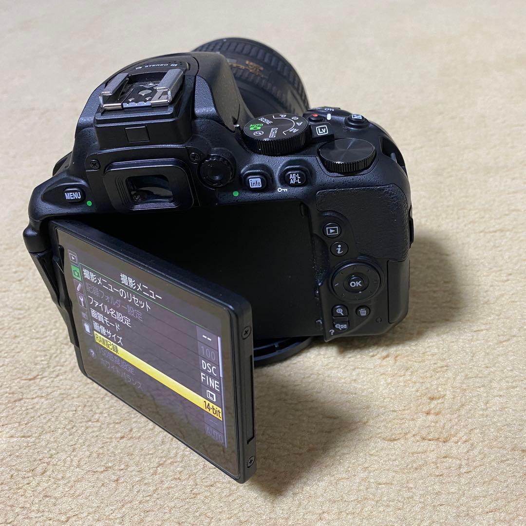 【美品】 Nikon D5600+AF-S 16-80mm f2.8-4 VR