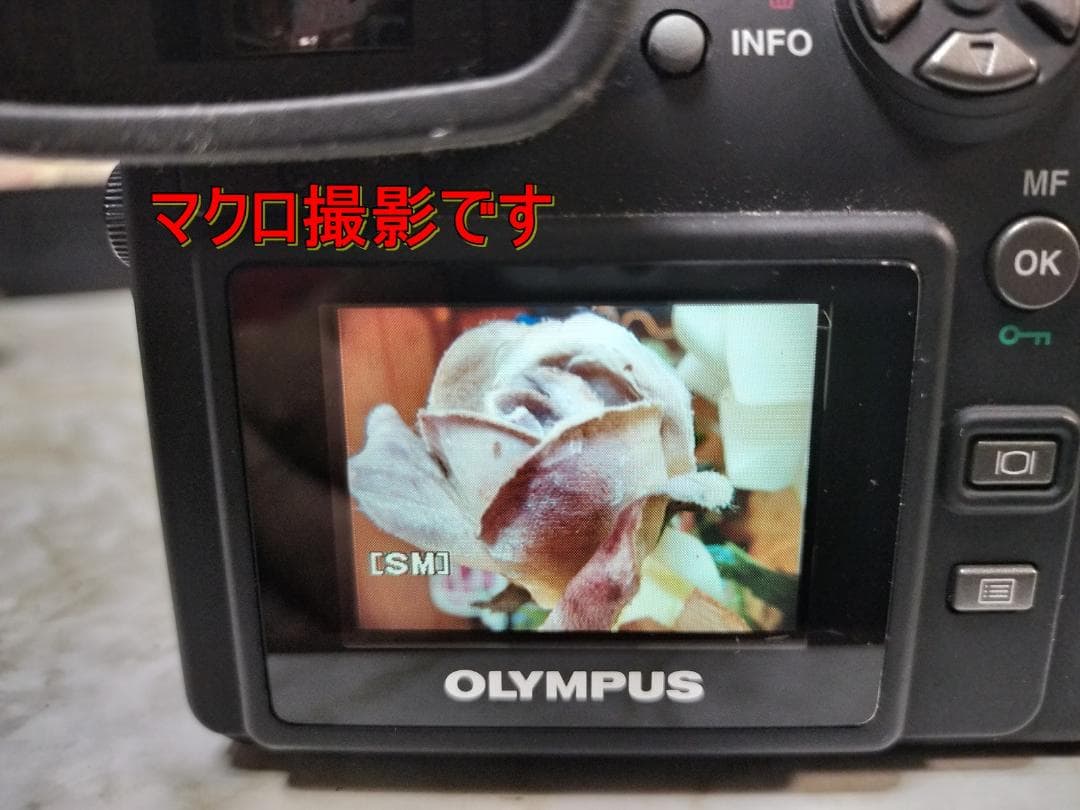【希少/動作品】伝説の「瞬間の魔術師」OLYMPUS E-100RS フルセット