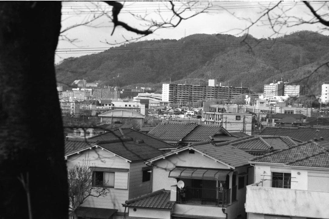 試写済：オリンパスL-20　アスフェリカル