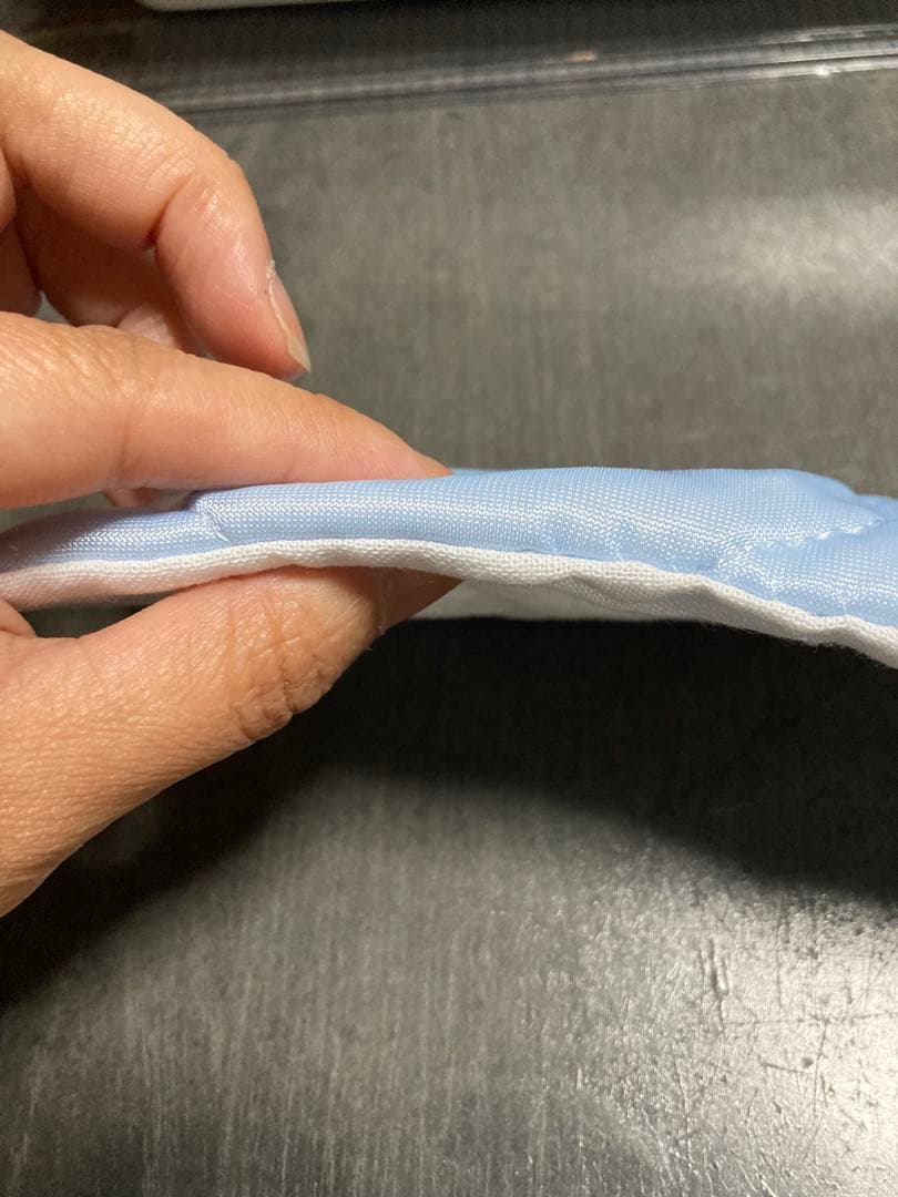 モモンガ　果物ポーチ　夏用　接触冷感ブランケット付き