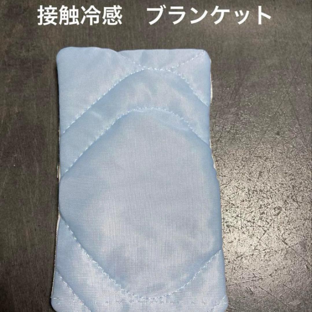 モモンガ　果物ポーチ　夏用　接触冷感ブランケット付き
