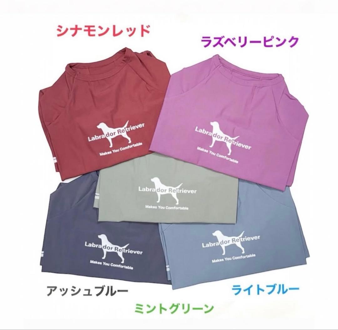 ラブラドールレトリバー 大型犬用 Tシャツ 37.5 ライトブルー