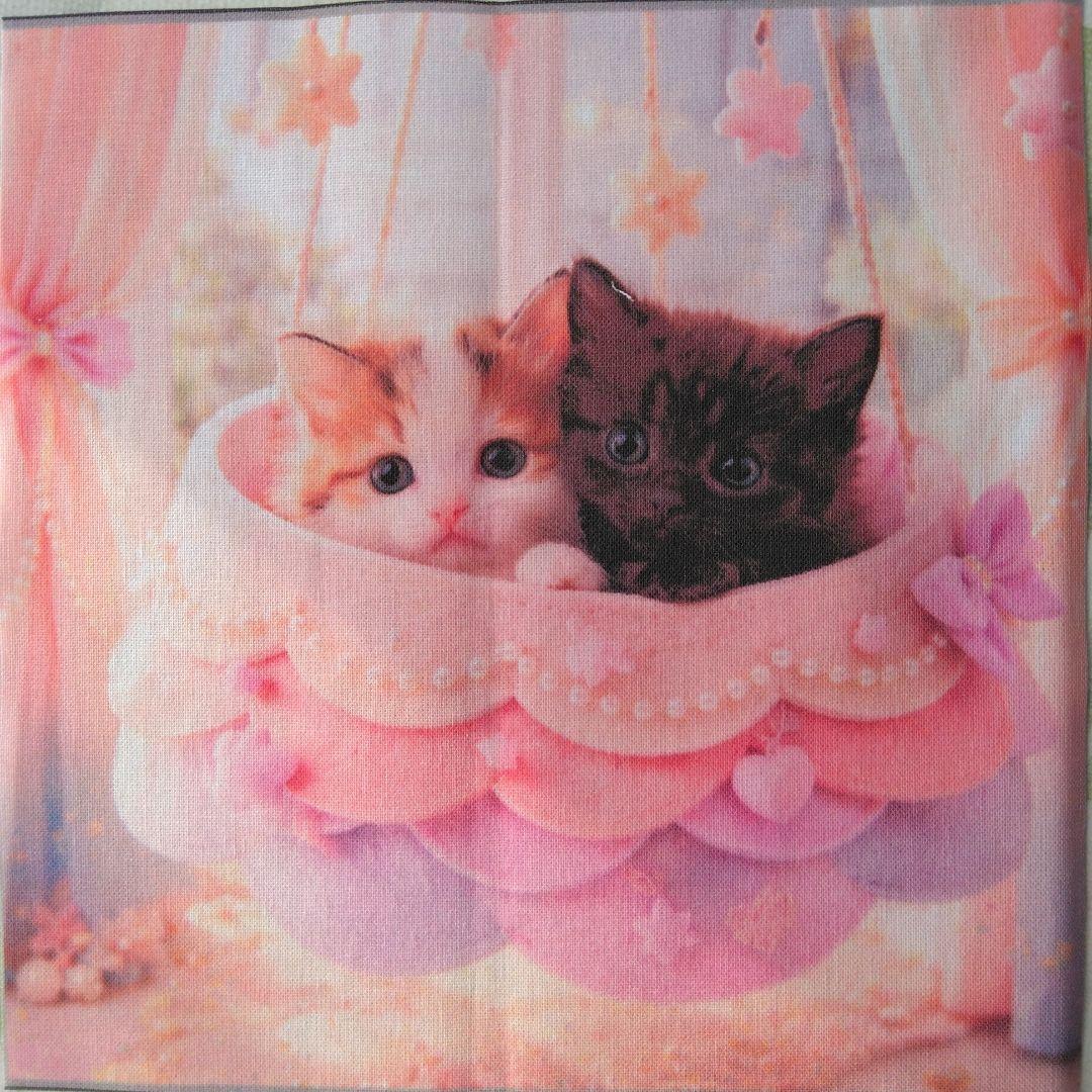 ☆受付☆猫