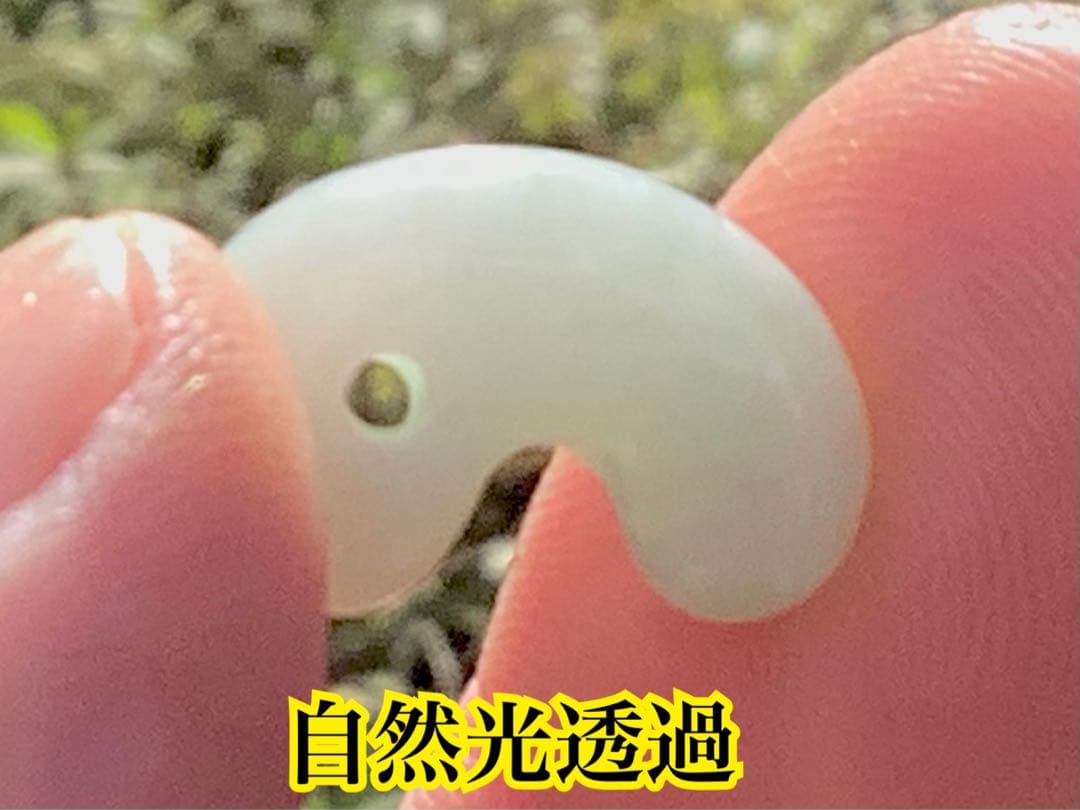 ✳神様からの贈り物‼️糸魚川翡翠ジェダイト　鑑定ソーティング付　綺麗な肌目色の勾玉