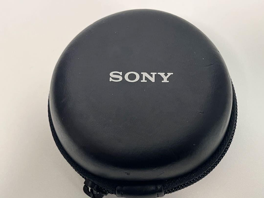 SONY 単焦点 SEL16F28 ＋ フィッシュアイ VCL-ECF1