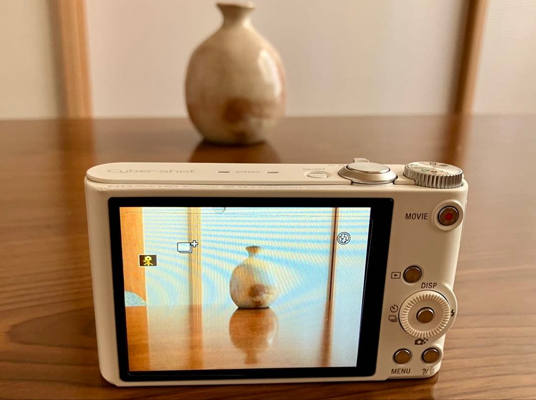 Sony サイバーショット DSC-WX300 デジタルカメラ 光学20倍ズーム