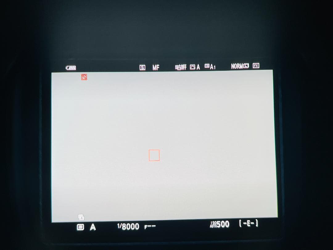 Nikon ニコン Z6 ボディ バッテリー 充電器付き ミラーレス一眼カメラ