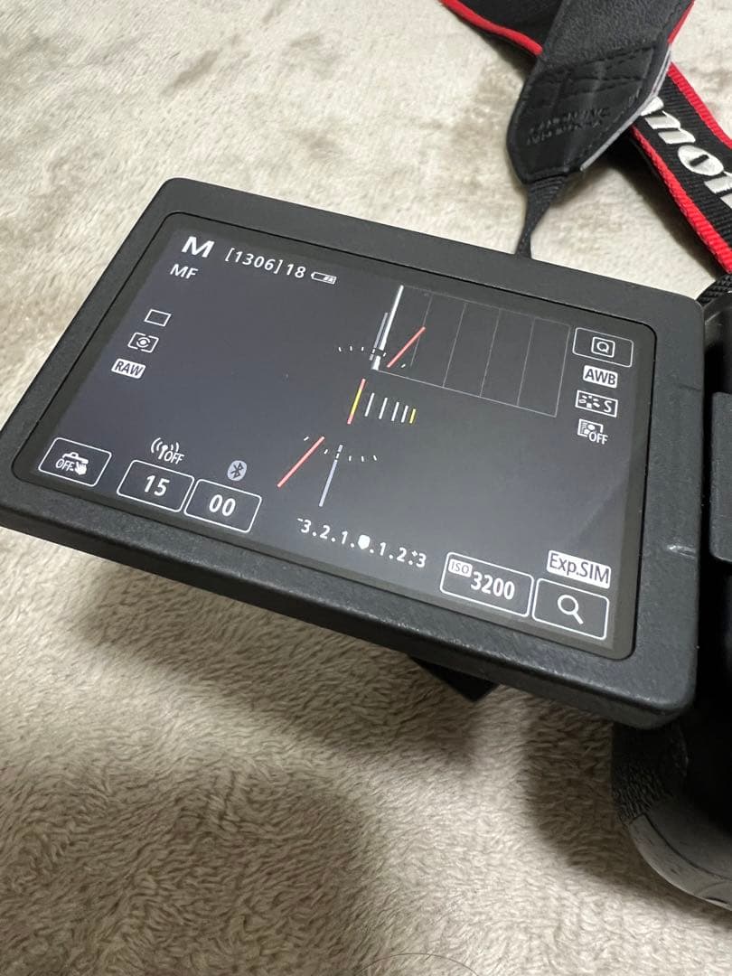 【レンズセット】Canon EOS 6D mark2 EF24-105おまけ付き