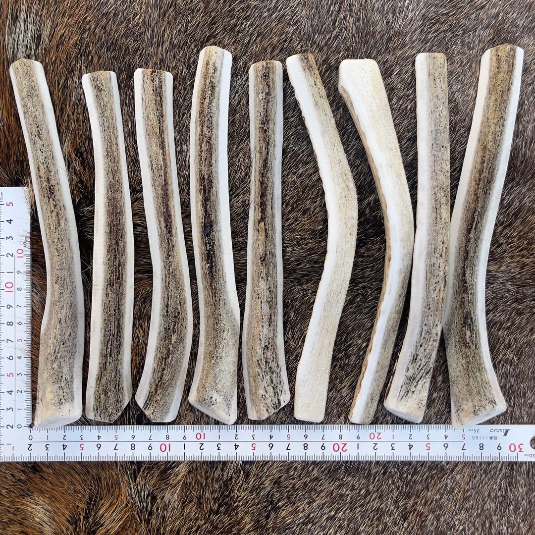 鹿の角 ✴︎1✴︎ 約20cm 四つ割り　9本　犬のおもちゃ　鹿