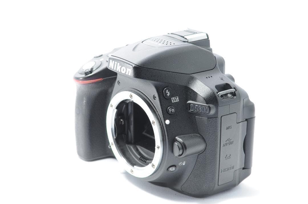 家族との想い出に❤️Nikon D5300✨Wi-Fiでスマホ転送 すぐに使える