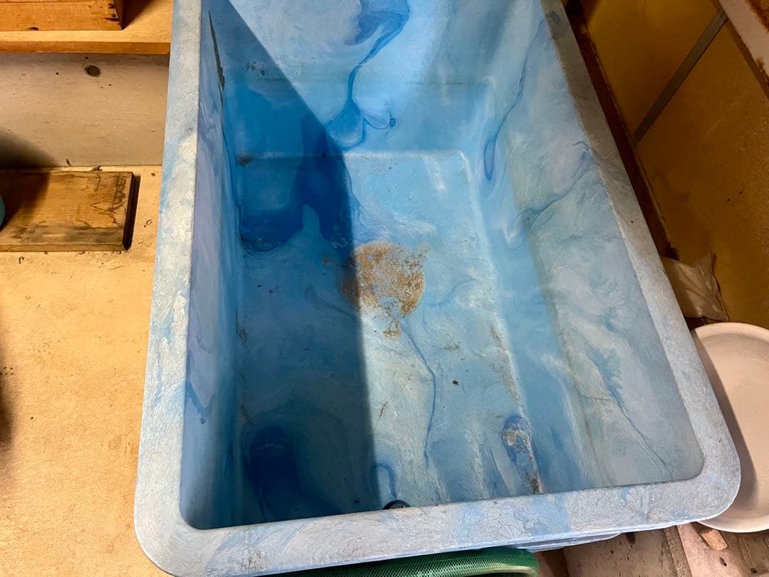 大型プラスチック水槽