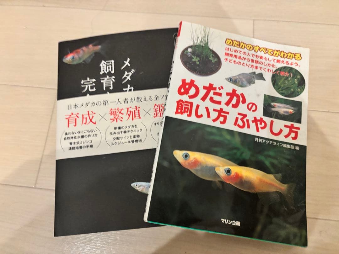 パちゃぽん