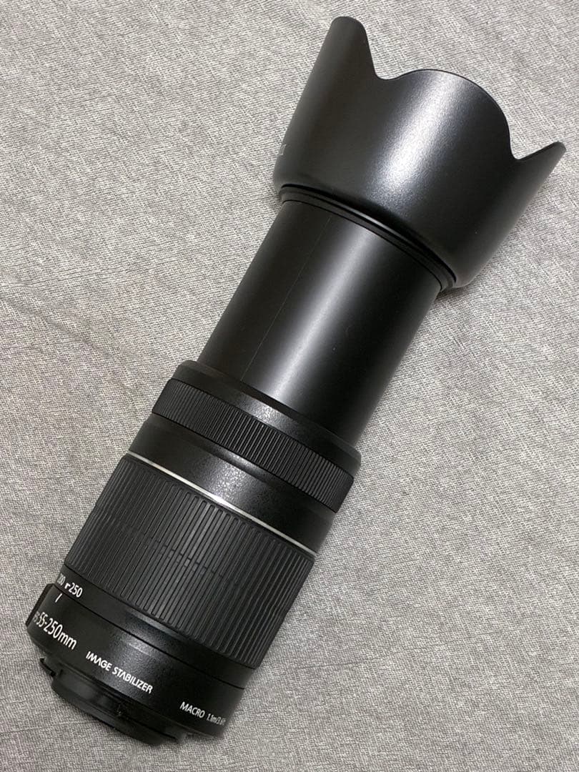 ⭐️極美品⭐️Canon EF-S 55-250mm IS II フード付望遠レンズ