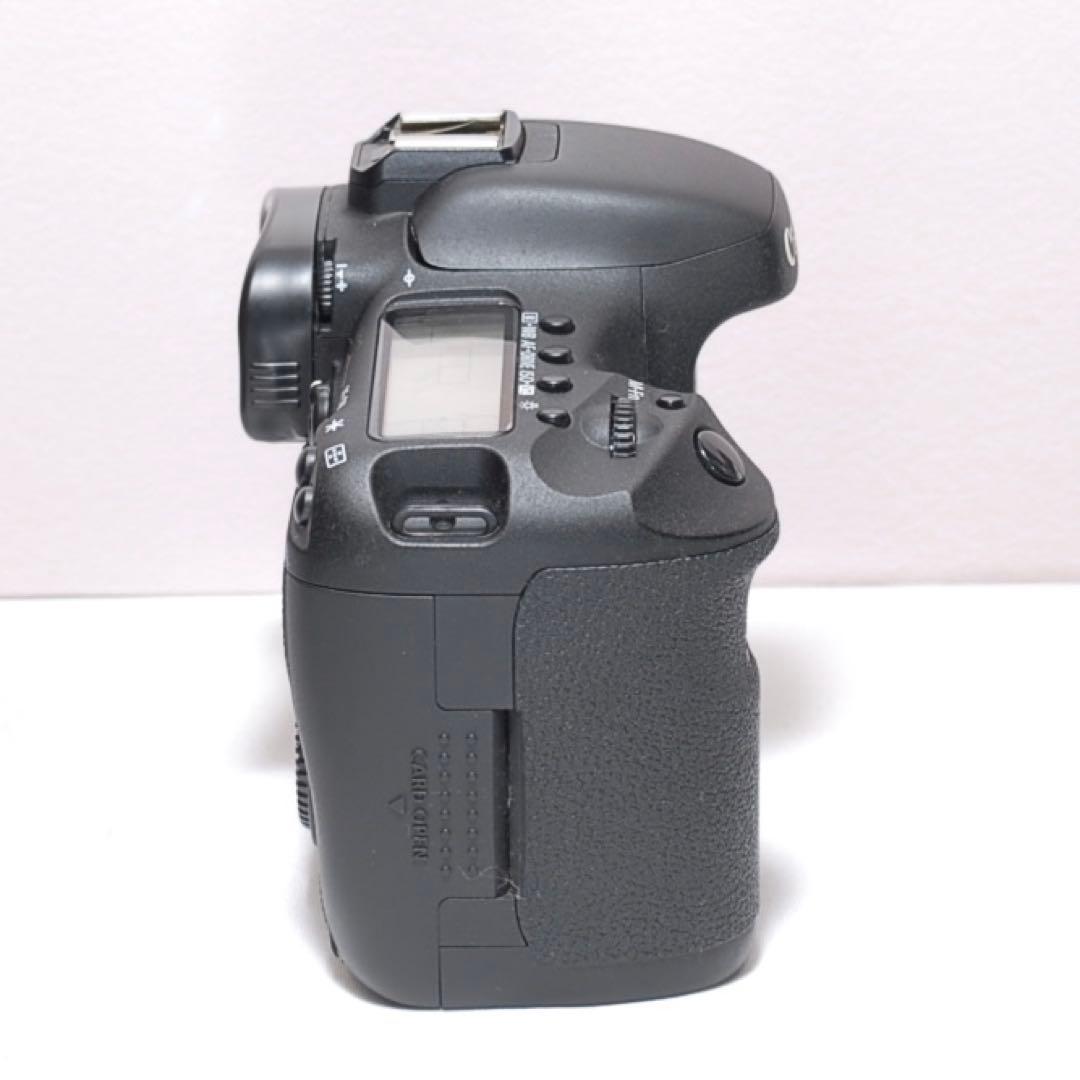 新品級✨超望遠レンズセット✨キャノン EOS 7D✨ 中級モデル✨高速連写機能