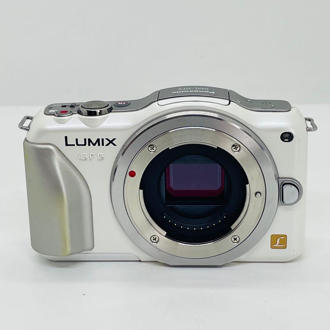 Panasonic ミラーレス一眼　DMC-GF5 14-42mmレンズ