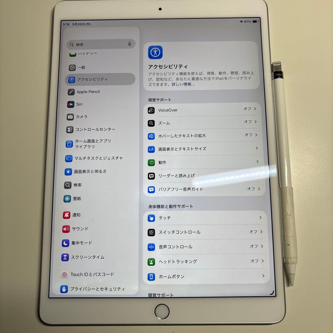 Apple iPad Air 第3世代　Apple pencil ケース