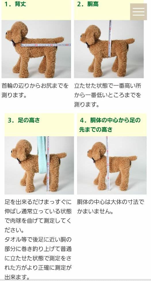 犬用 車椅子