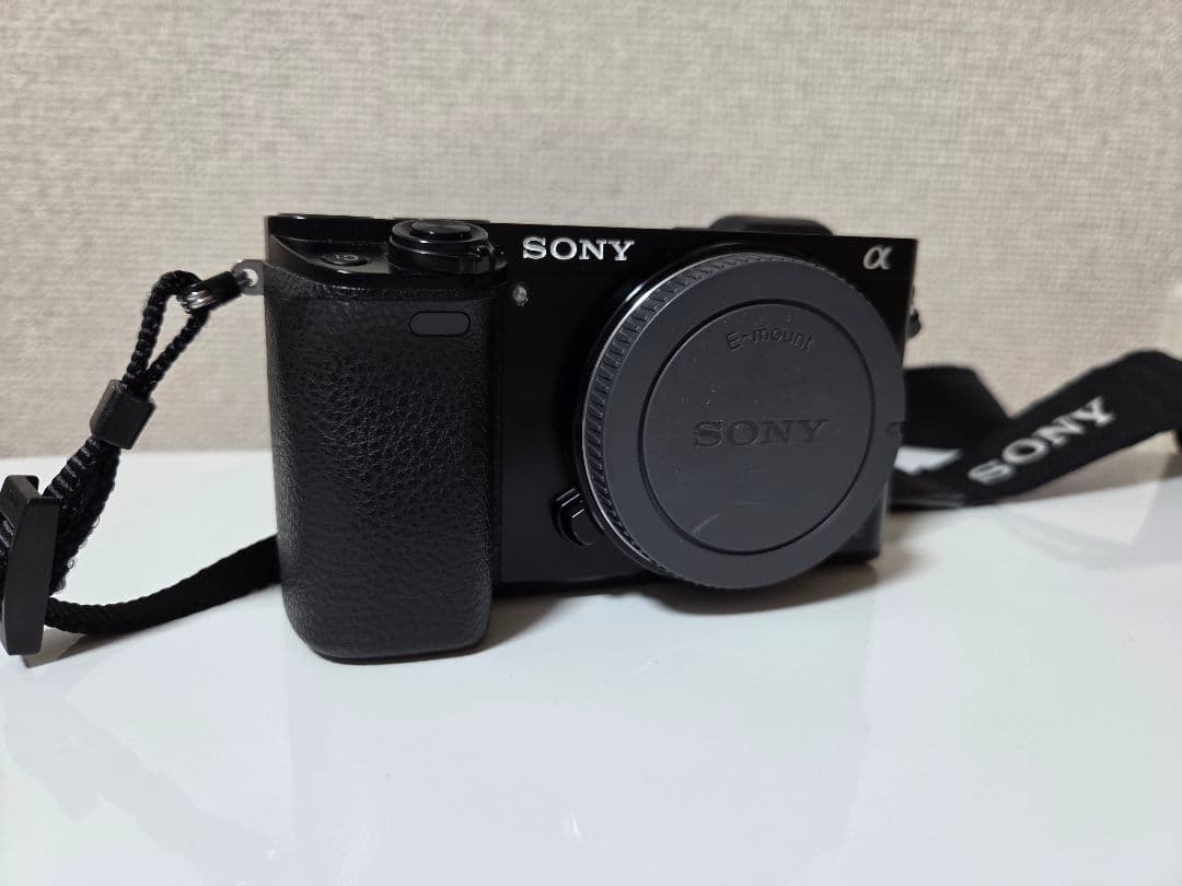SONY α6000 ミラーレス一眼 APS-C