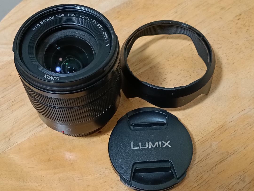 LUMIX GH5II DC-GH5M2M 標準ズームレンズキット 8,885枚