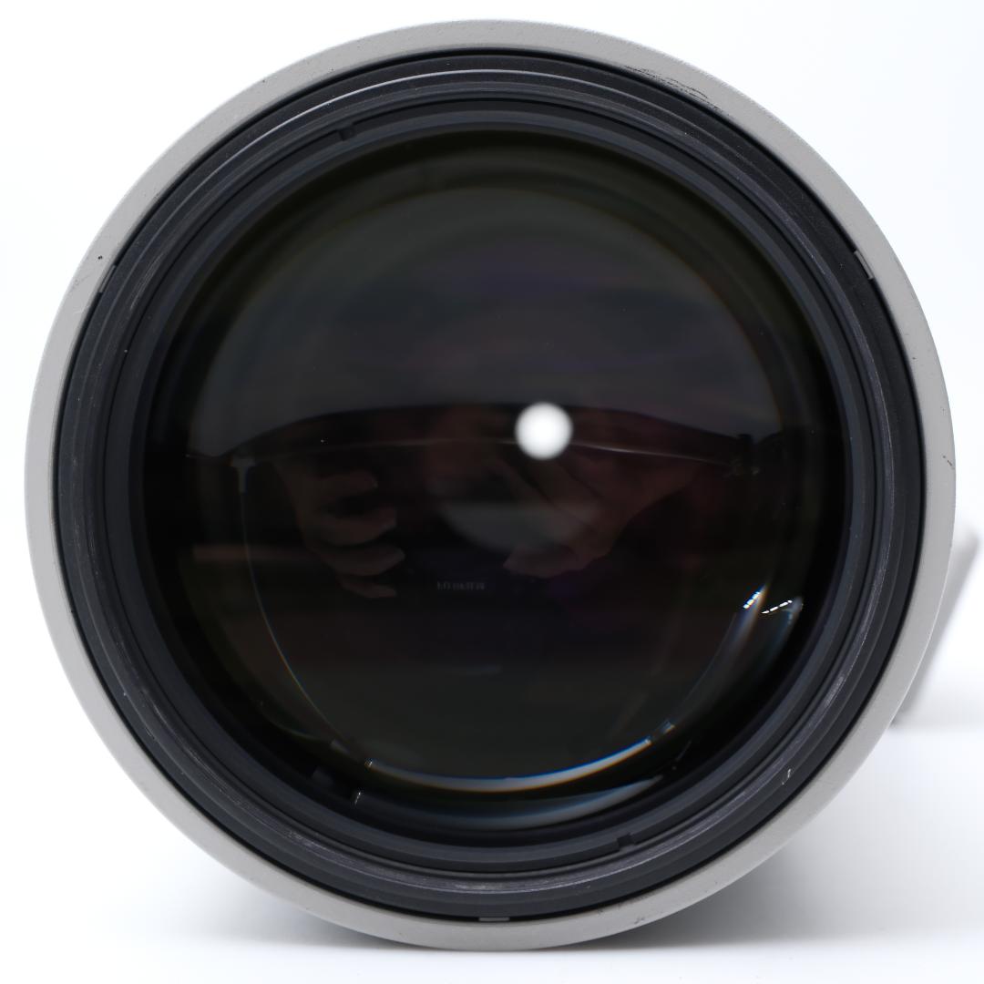美品 Nikon AF-S NIKKOR 300mm F4D ED ライトグレー