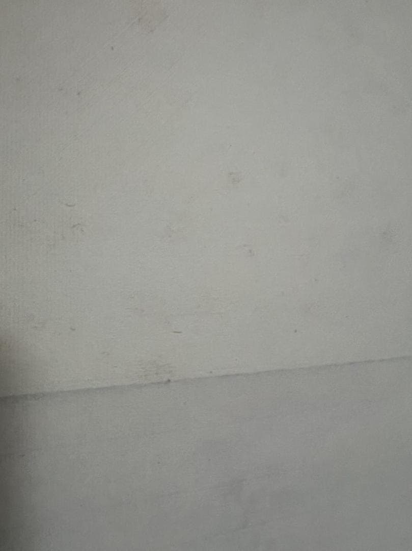 中国工筆画　肉筆紙本　【劉奎齡 双豹図】　中国近現代工筆大家(S-15)