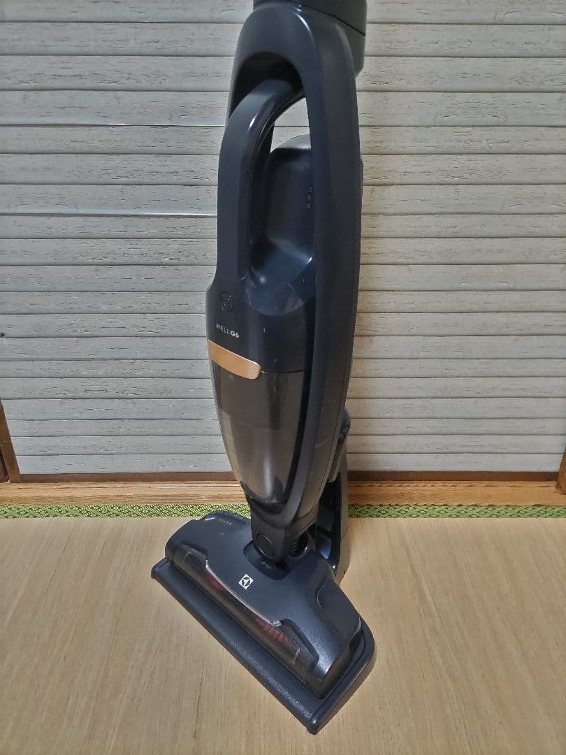 Electrolux 掃除機 WELL Q6 WQ61-10GG