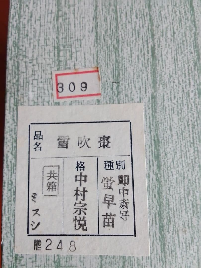 h*o様 茶入れ 棗 茶道具 中村宗悦 雪吹棗 未使用品 003