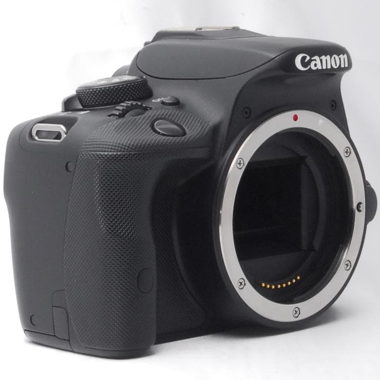 【初心者セット✨】Canon kiss X7☆手振れ補正☆美品♪