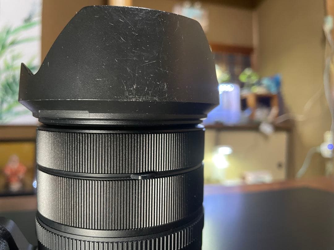 SONY RX10 IV ズームデジタルカメラ　海外言語VER