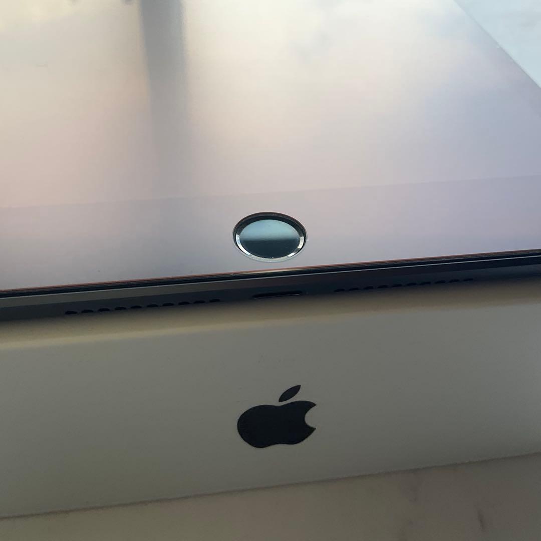 【極美品】iPad mini 5 Wi-Fi Cellular 64GB