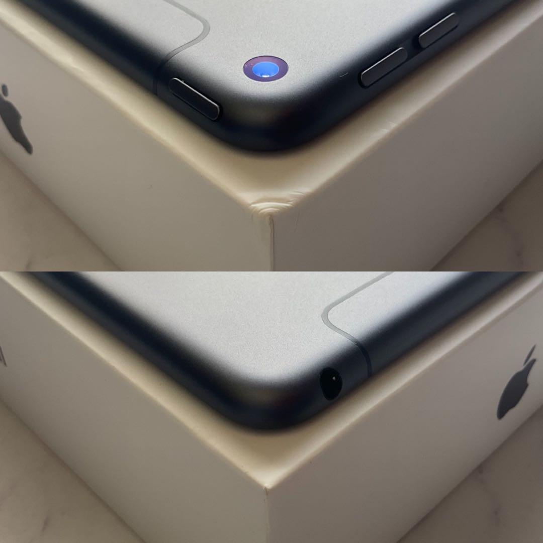 【極美品】iPad mini 5 Wi-Fi Cellular 64GB